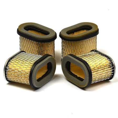 Briggs & Stratton Air Filter (4 of 692446) 4224